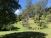 1967 Kalang Road, Kalang, NSW 2454-Image