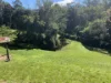 1967 Kalang Road, Kalang, NSW 2454-Image