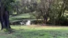 1967 Kalang Road, Kalang, NSW 2454-Image