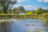 197 King Creek Road, King Creek, NSW 2446-Image