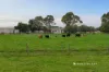 197 Willow Grove Road, Trafalgar, Vic 3824-Image
