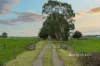 197 Willow Grove Road, Trafalgar, Vic 3824-Image