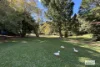 198 Lakes Drive, Lake Eacham, Qld 4884-Image