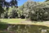 198 Lakes Drive, Lake Eacham, Qld 4884-Image