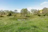 199 Jerry Creek Road, Langshaw, Qld 4570-Image