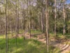 2-40 Melaleuca Lane, Cootharaba, Qld 4565-Image