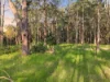 2-40 Melaleuca Lane, Cootharaba, Qld 4565-Image