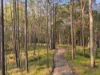 2-40 Melaleuca Lane, Cootharaba, Qld 4565-Image