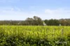 2 Godings Road, Moorooduc, Vic 3933-Image