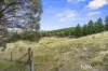 2 Pine Grove Avenue, Wallerawang, NSW 2845-Image