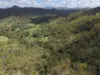 2 Seal Road, Boyne Valley, Qld 4680-Image