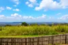 2 Spring Gardens Court, Hunchy, Qld 4555-Image