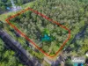 2 St James Road, Vineyard, NSW 2765-Image