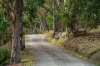 2 Tilmouth Road, Paracombe, SA 5132-Image