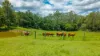20-55 Kenins Road, Downsfield, Qld 4570-Image