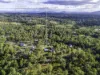 20 Allspice St, Cedar Vale, Qld 4285-Image