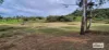 20 Coleman Road, Mulgowie, Qld 4341-Image
