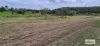 20 Coleman Road, Mulgowie, Qld 4341-Image