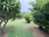 20 GREGORY DRIVE, Redridge, Qld 4660-Image