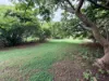 20 GREGORY DRIVE, Redridge, Qld 4660-Image