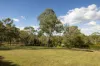 20 Kintyre Street, Brookfield, Qld 4069-Image