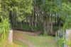 20 Lachlan Dew Close, Nana Glen, NSW 2450-Image