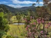 20 Muti Lane, Murrays Run, NSW 2325-Image