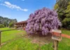 20 Oakhill Road West, Pearcedale, Vic 3912-Image