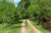 20 Pine Mountain Road, Possum Creek, NSW 2479-Image