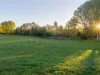 20 Piries-Goughs Bay Road, Piries, Vic 3723-Image