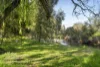 20 Piries-Goughs Bay Road, Piries, Vic 3723-Image