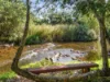 20 Piries-Goughs Bay Road, Piries, Vic 3723-Image