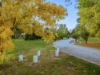 20 Piries-Goughs Bay Road, Piries, Vic 3723-Image