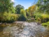 20 Piries-Goughs Bay Road, Piries, Vic 3723-Image