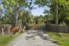 20 Piries-Goughs Bay Road, Piries, Vic 3723-Image