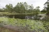 20 Pitt Wharf Road, Coolongolook, NSW 2423-Image