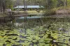 20 Pitt Wharf Road, Coolongolook, NSW 2423-Image