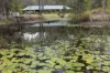 20 Pitt Wharf Road, Coolongolook, NSW 2423-Image