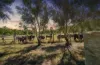 20 Waterhouse Road, Summerholm, Qld 4341-Image