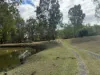 20 Waterhouse Road, Summerholm, Qld 4341-Image