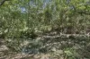 200 Mount Browne Road, Upper Orara, NSW 2450-Image