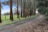 200 Old Nicholls Road, Mirboo North, Vic 3871-Image