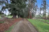 200 Old Nicholls Road, Mirboo North, Vic 3871-Image