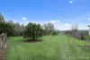 200 Old Nicholls Road, Mirboo North, Vic 3871-Image