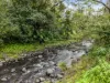 2015 Collins Creek Road, Collins Creek, NSW 2474-Image