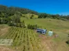 202 Quilty Road, Rock Valley, NSW 2480-Image