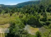 202 Quilty Road, Rock Valley, NSW 2480-Image