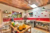 202 Quilty Road, Rock Valley, NSW 2480-Image