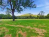 2022 Orara Way, Glenreagh, NSW 2450-Image