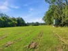 2022 Orara Way, Glenreagh, NSW 2450-Image